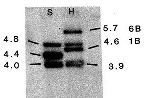 A Database of Cancer-Linked Gene Mutations